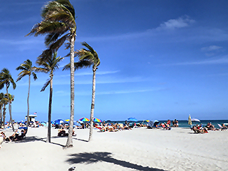 Hollywood Beach Tower Pictures